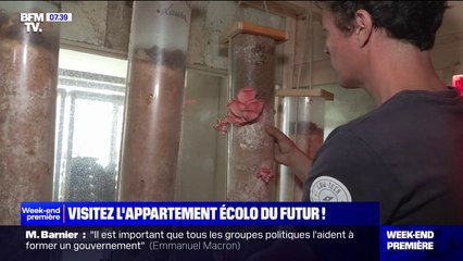 "Utile, accessible et durable": visite guidée de l'appartement écologique du futur
