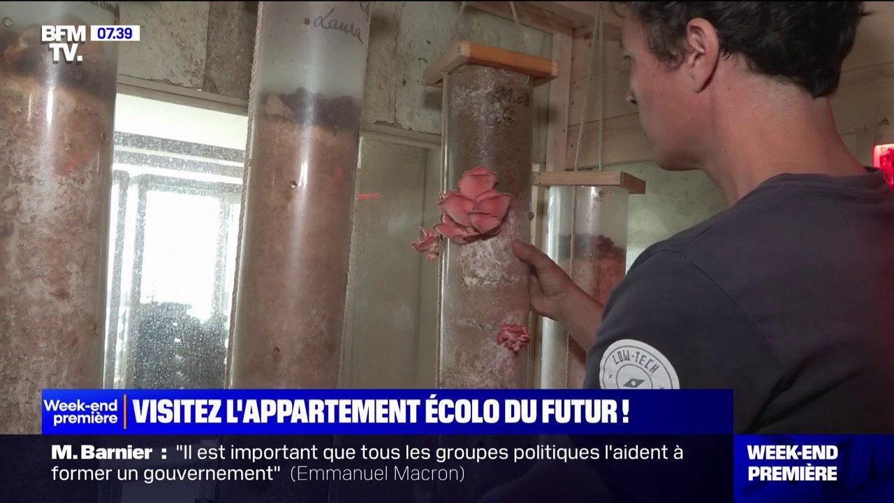 "Utile, accessible et durable": visite guidée de l'appartement écologique du futur