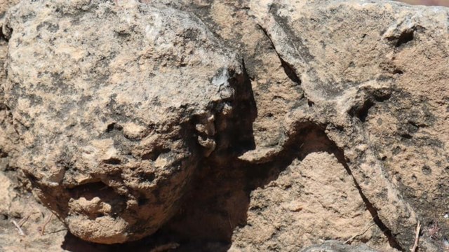 Perre Antik Kenti'nin kayıp hazineleri 40 yıl sonra bulundu