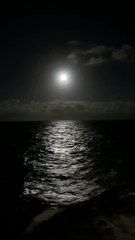 Beautiful Recitation Surah Nasr