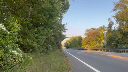 Let’s go ride bikes!