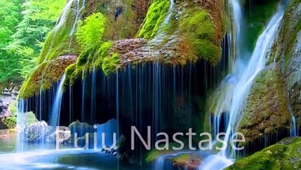 Puiu Nastase- Verde inrourat-Omul bun si pomul copt