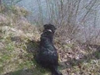 Promenade du 20 avril 2008