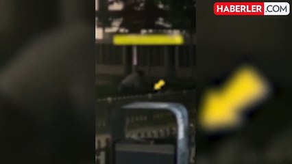 İstanbul'da mide bulandıran olay! 2 erkek çevredekilere aldırmadan ilişkiye girdi