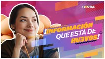 Comer huevo diario y la salud: ¡Desenmascamos los mitos y te contamos los beneficios!