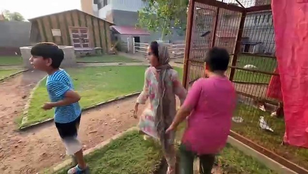 shehar mein dehat ep 50 2024 animal mini zoo Guess The Surprise Animal Challenge With Turab