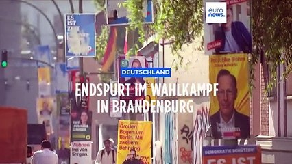 AfD vor weiterem Erfolg in Brandenburg