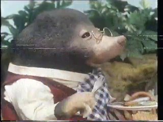 The Wind in the Willows (1986 UK VHS)