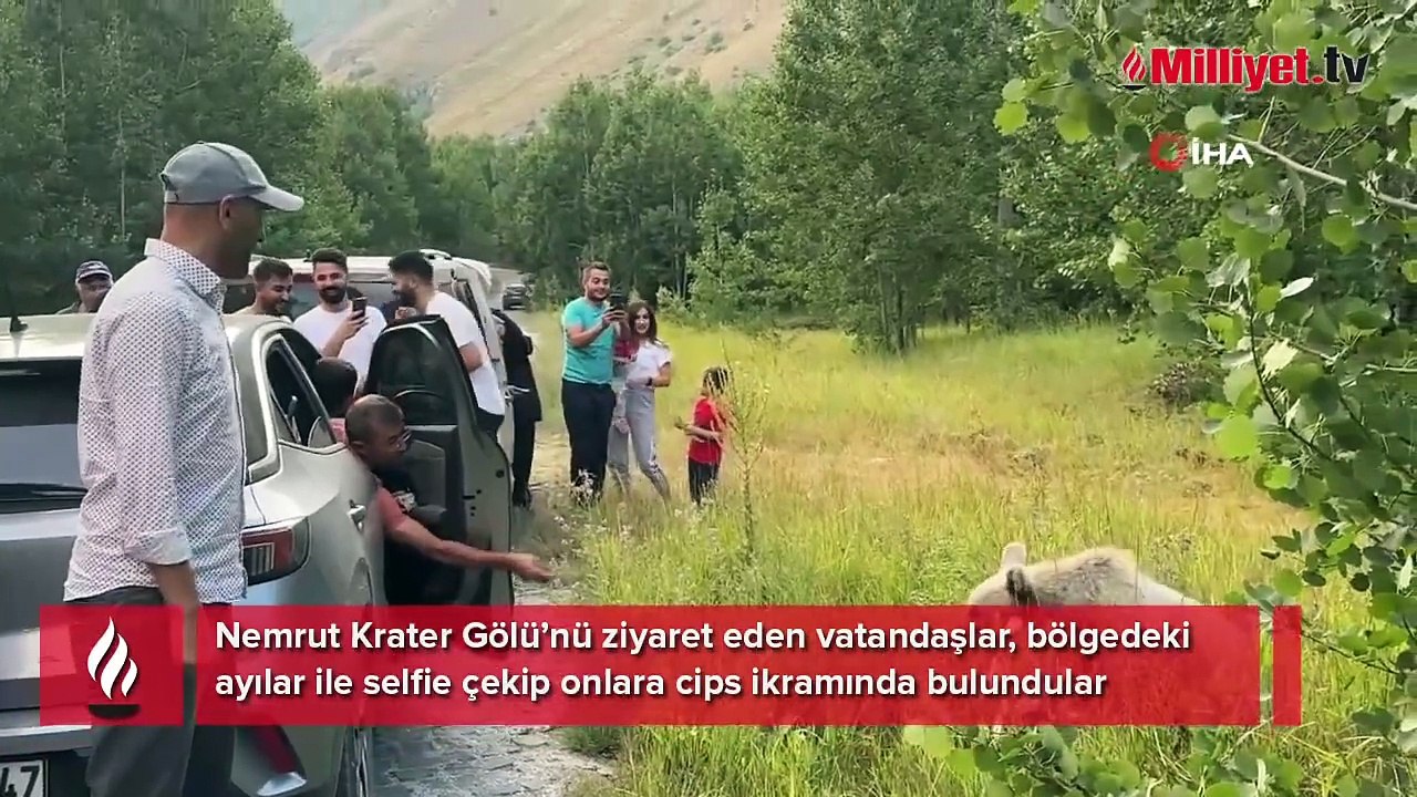 Ayı ile selfie çekip cips ikram ettiler: Burası doğal bir ortam
