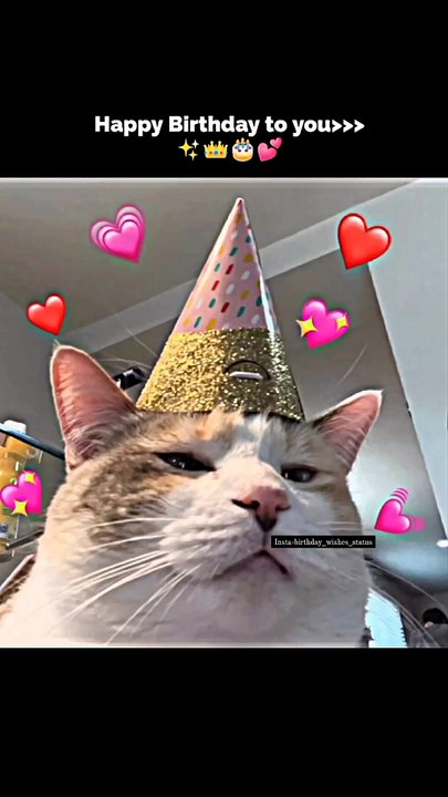 Wishing you a happy birthday   tag your birthday friends. Tag your birthday partner wish them Happy birthd.....birthday  #birthday_wishes_status #watsappstatus #birthdayboy #wishes #instagramreels #birthdaygirl#birthdaycake #happyb