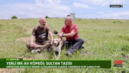Sultan tazılarının hikayesi Yeşil Doğa'da ekrana geldi