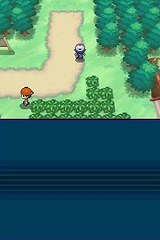 Pokémon Version Blanche online multiplayer - nds