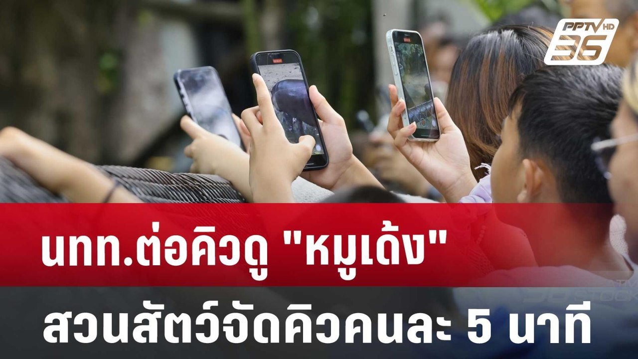 นทท.ต่อคิวดู "หมูเด้ง" สวนสัตว์จัดคิวคนละ 5 นาท...