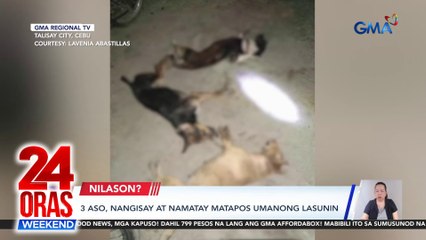 3 aso, nangisay at namatay matapos umanong lasunin | 24 Oras Weekend