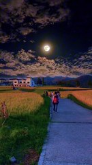 Soo butifull video