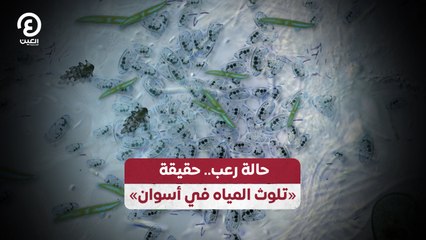 حالة رعب حقيقة  «تلوث المياه في أسوان»