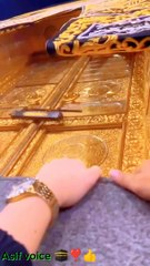 نبی کریم ﷺ جب غسل فرماتے تو آپ پہلے اپنے دونوں