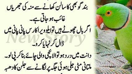 Darjan Bhar Bimariyon Ka ilaj l Aaj Aurton Ko Khud Per Bhi Yakeen Nahi Aye Ga