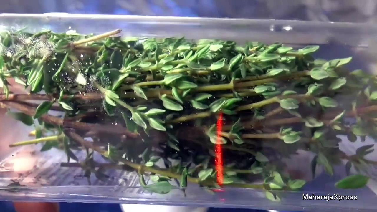 "Colombian Roasted Chicken Recipe" "Oven Recipes" "Colombia" [ASMR]