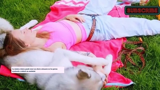 ¿Puede la Música Hacer Más Inteligentes a los Perros? #FurryDJVibe