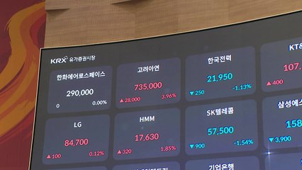 경영권 분쟁 고려아연 주가 급등...개인 과열 양상 / YTN