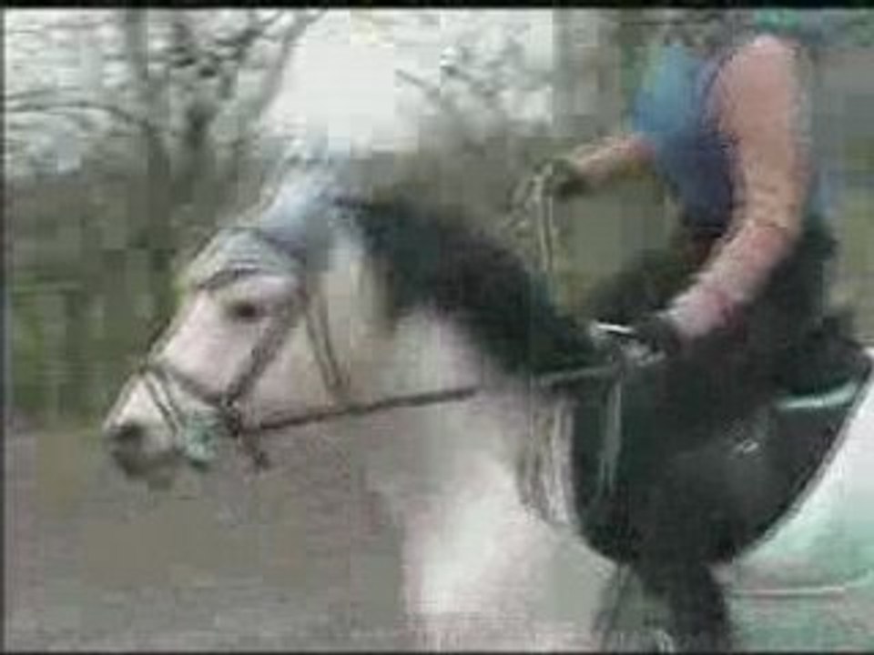 spirit et moi a l'obstacle