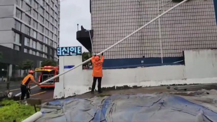 '쓰러지고 끊기고'...제주, 강풍 피해 잇따라 / YTN