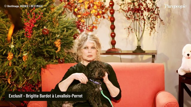 Brigitte Bardot en grand deuil : après le trépas d'Alain Delon, l'icône enchaîne les coups durs