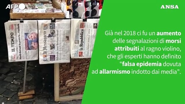 Ansa VERIFIED - Il ragno violino puo' uccidere con il suo morso?