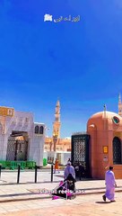 یا اللّٰه ﷻ ھمیں اپنے حبیب ﷺ  صدقے بےحساب بخش دے