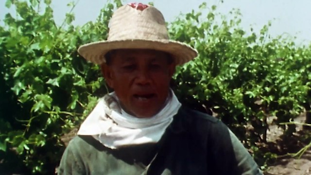 Asian Americans 4of5 Generation Rising