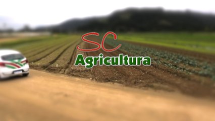 Confira íntegra do programa SC Agricultura deste sábado (21)!