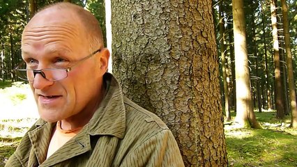 "Jesus" und "Maria" - sind die Erscheinungen echt?