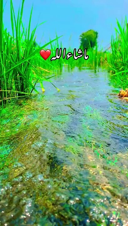 Neatural Beauti in Pakistan Kpk Beautiful view in Kaghan Naran valley ❣️