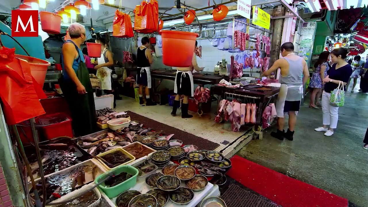 Nuevo estudio confirma el origen del SARS-CoV-2