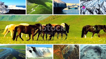 ¡Alerta! Groenlandia se derrite más rápi 2024-09-21