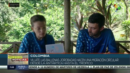 Descubre Bahía Solano: El Tesoro Sostenible del Turismo en Colombia 🌿