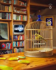 Galatasaray'dan derbi zaferi sonrası video