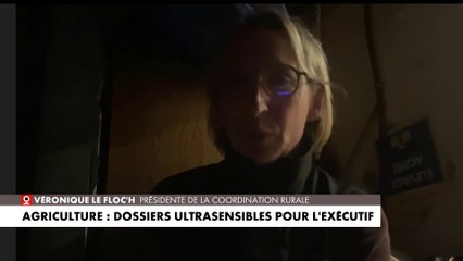 Véronique Le Floc’h : «Beaucoup de dossiers sont déjà sur sa table»