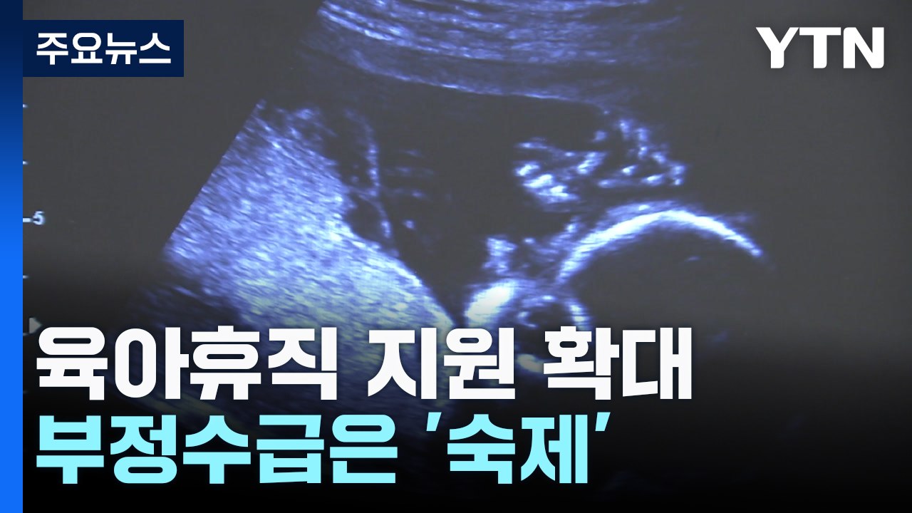 육아휴직 지원 느는데...부정수급은 '숙제' / YTN
