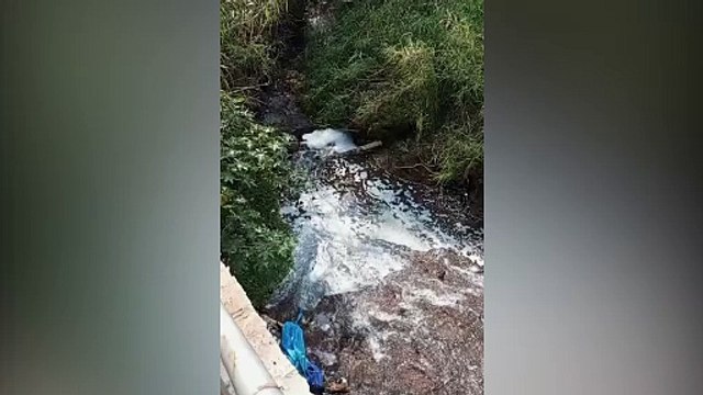 Internauta denuncia despejo de produtos químicos em riacho próximo de Núcleo Industrial