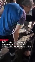 Bajó cuatro metros para rescatar a su perrita que había caído a una alcantarilla