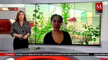 Se desata enfrentamiento armado entre elementos de seguridad y presuntos delincuentes en Comalcalco