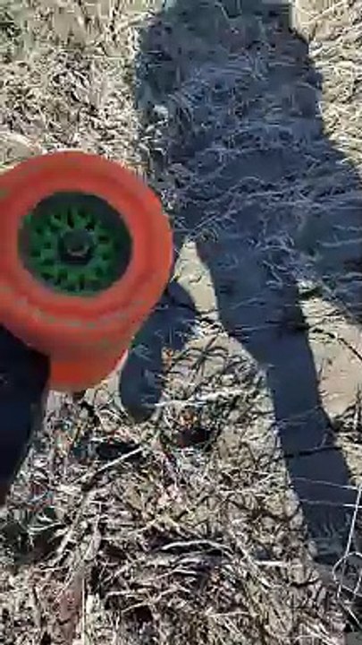 Mudwalk