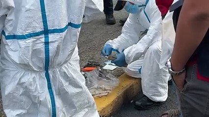 Evidencias que encontraron autoridades en caso de hombre que murió en centro comercial