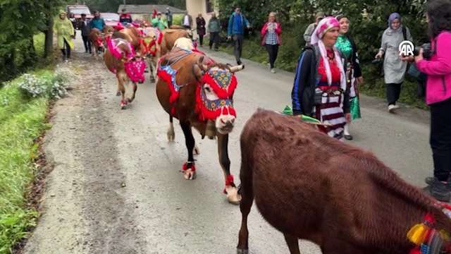 Doğu Karadeniz yaylalarında besicilerin dönüş yolculuğu başladı