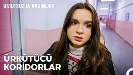 Mahallenin Haylazları #9; Mert'in Aniden Kaybolmasının Sebebi - Umutsuz Ev Kadınları