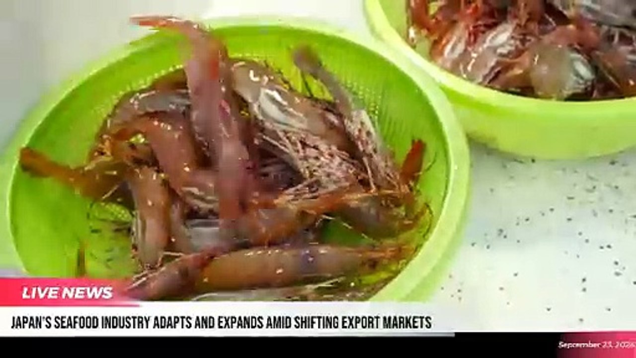 The Supply Chain Report News Roundup - 23rd September 2024