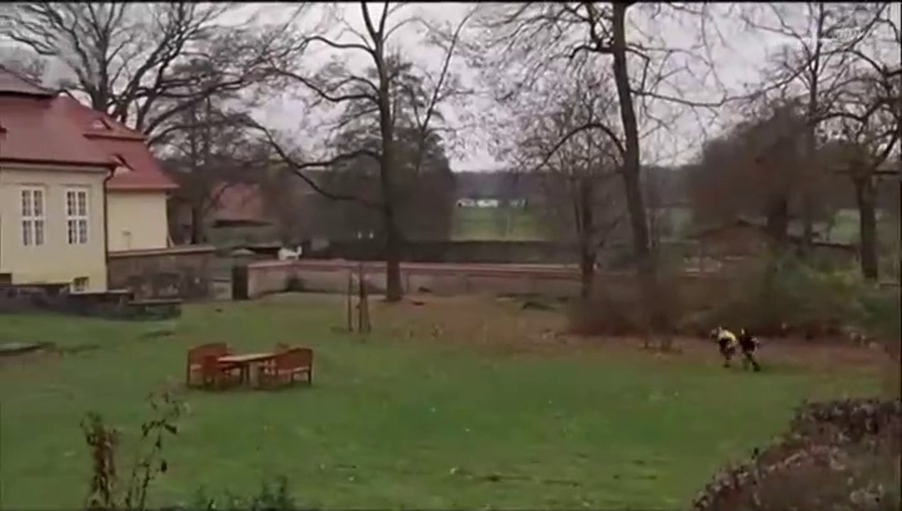 Wunschkinder und andere Zufälle