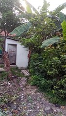 Suasana pagi hari